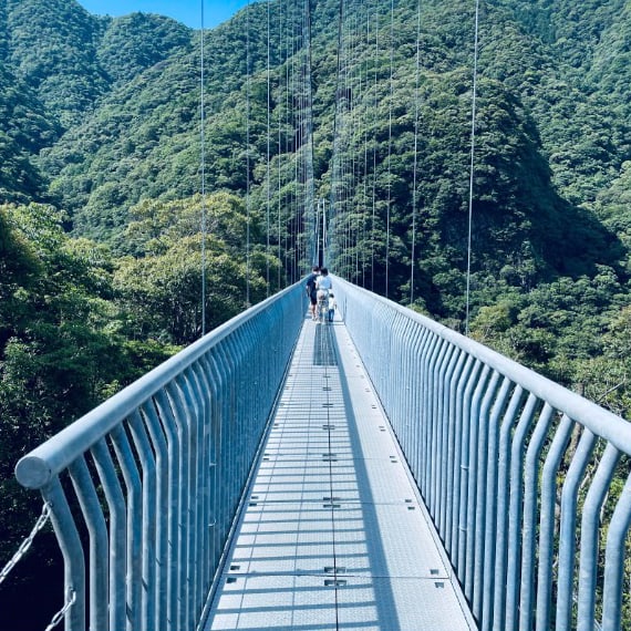 照葉大吊橋の写真