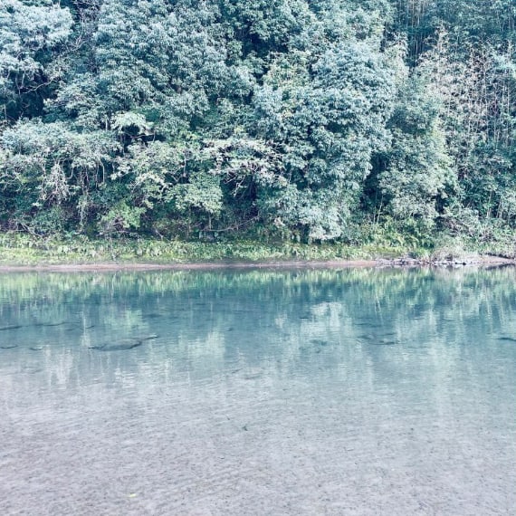 綾川の写真