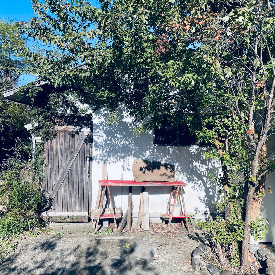 ヤマボウシとノカエデの写真